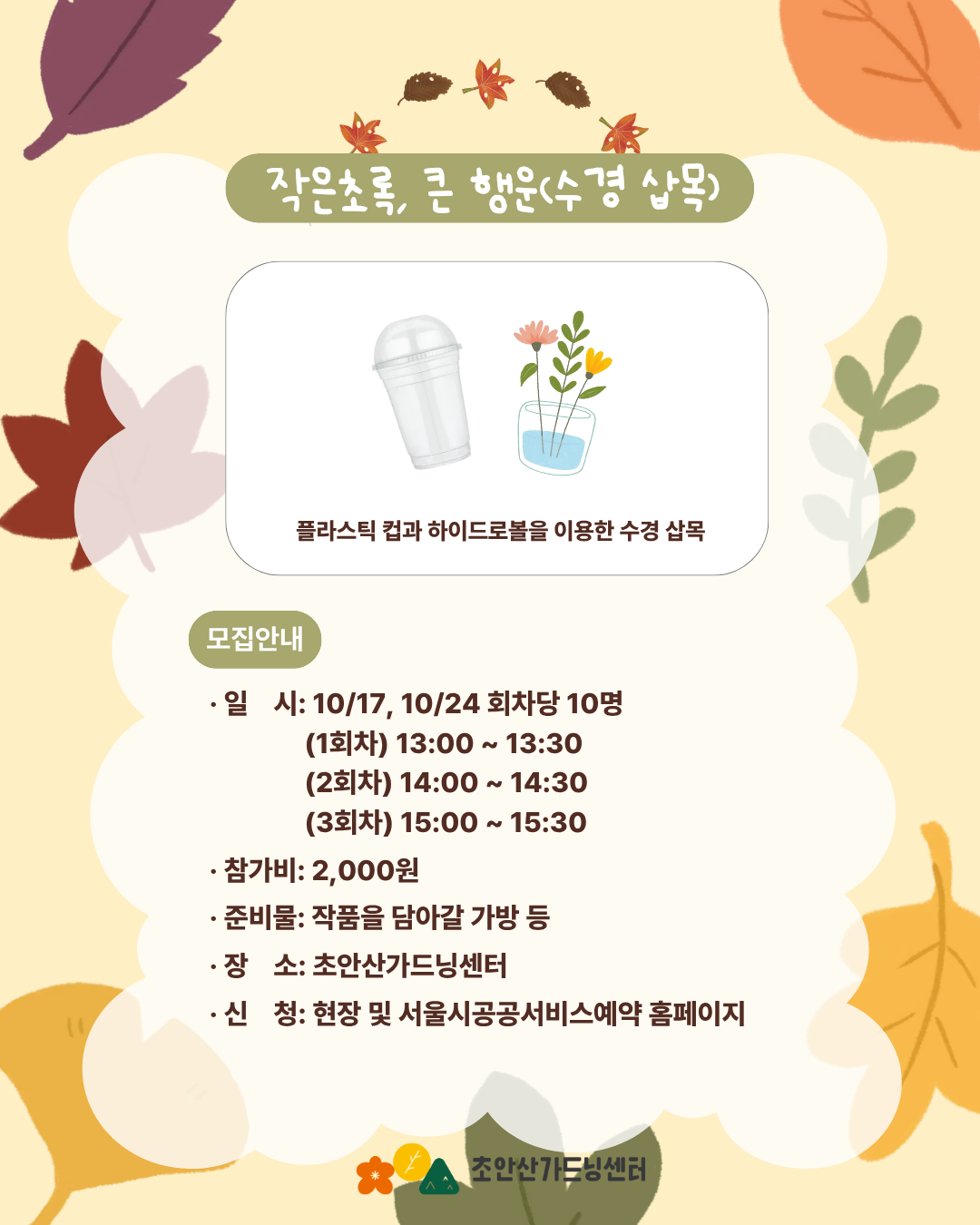 4-씨드볼.png