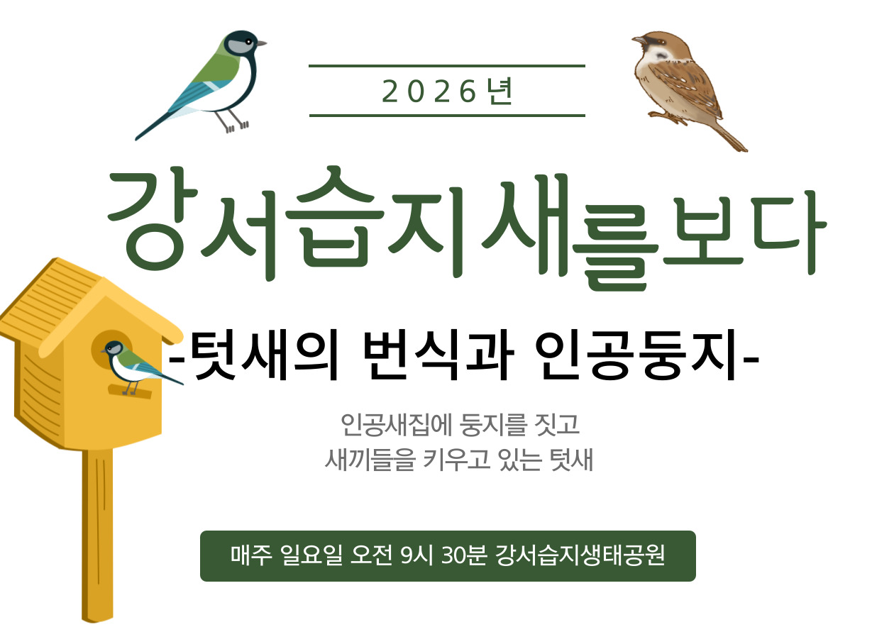 [강서습지] 강서습지 새를 보다 -텃새의 번식과 인공둥지-