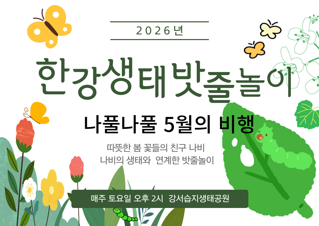 [강서습지] 한강 생태 밧줄놀이 -나풀나풀, 나비의 비행 -