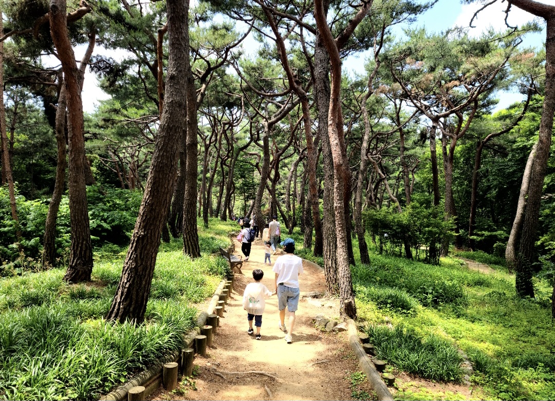 [광진구] 아차산 치유의 숲길- 9월 산림치유 프로그램(토)- 가족 행사 이미지