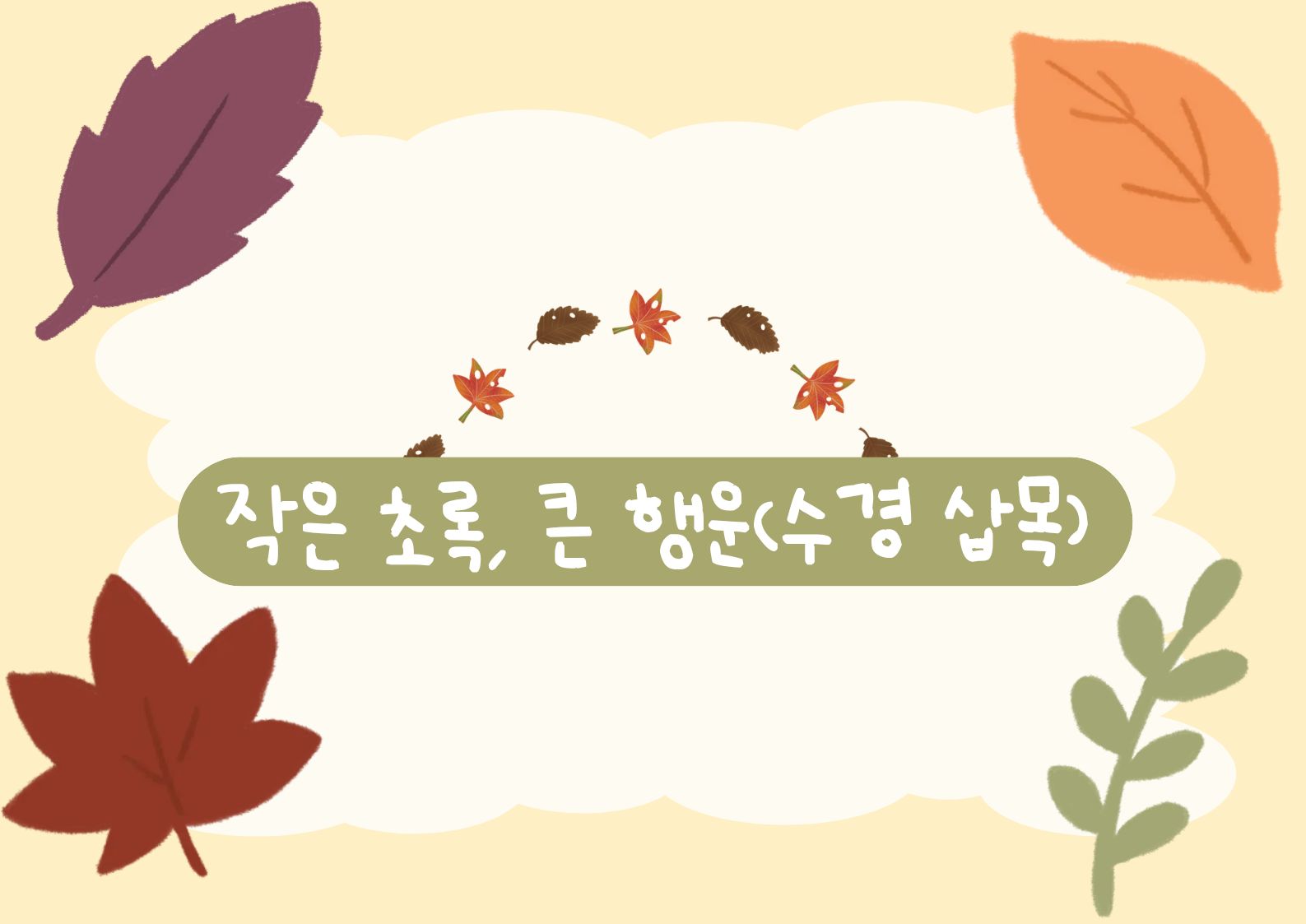 [초안산가드닝센터][가든위크]이웃정원사와 함께하는 가든페스타_수경 삽목