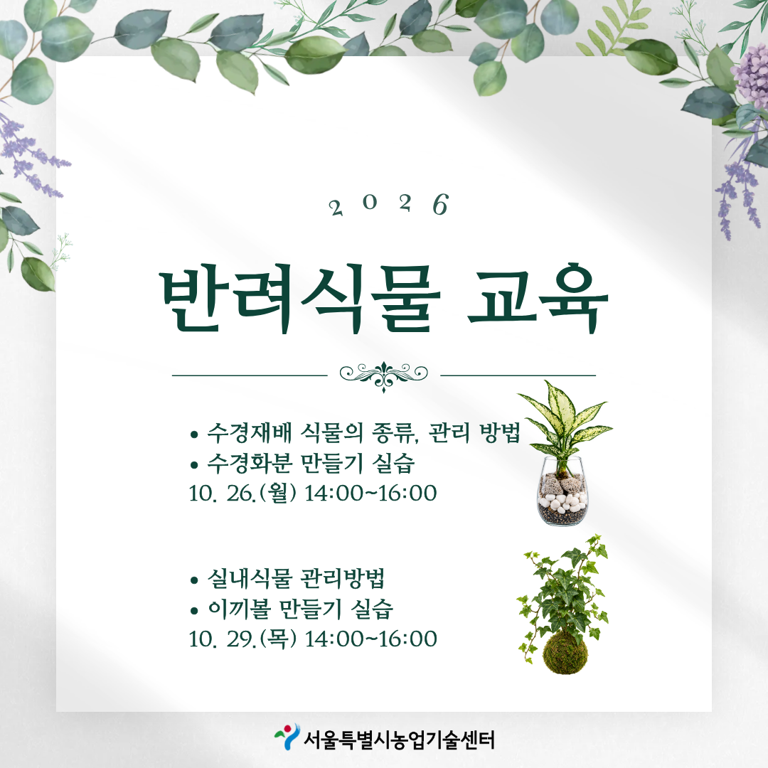 2026년 반려식물 교육(수경재배, 실내식물)
