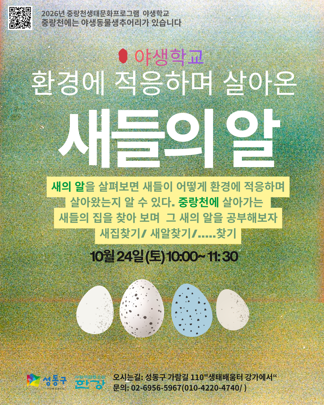 (토)야생학교 환경에 적응하며 살아온 새들의 알