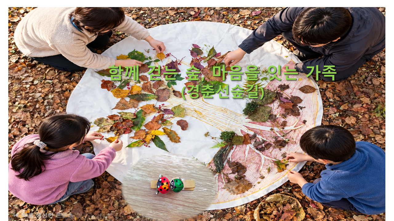 (토, 일) 함께 걷는 숲, 마음을 잇는 가족
