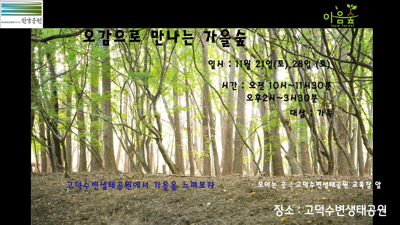 (고덕)(토)오감으로 만나는 가을숲