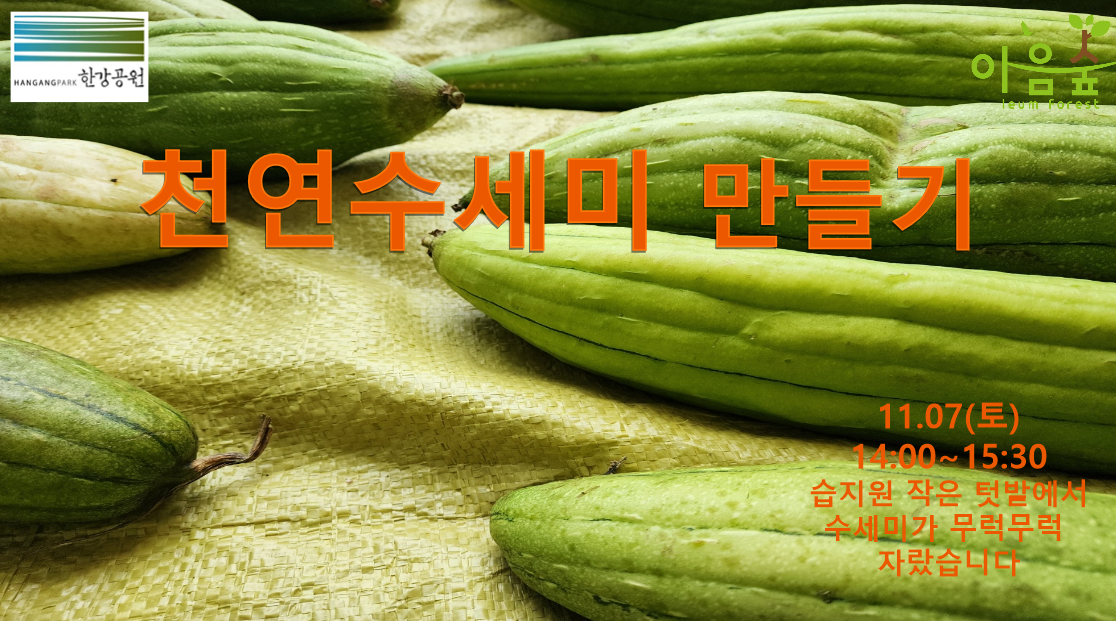 (난지생태습지원/특화) 천연수세미 만들기