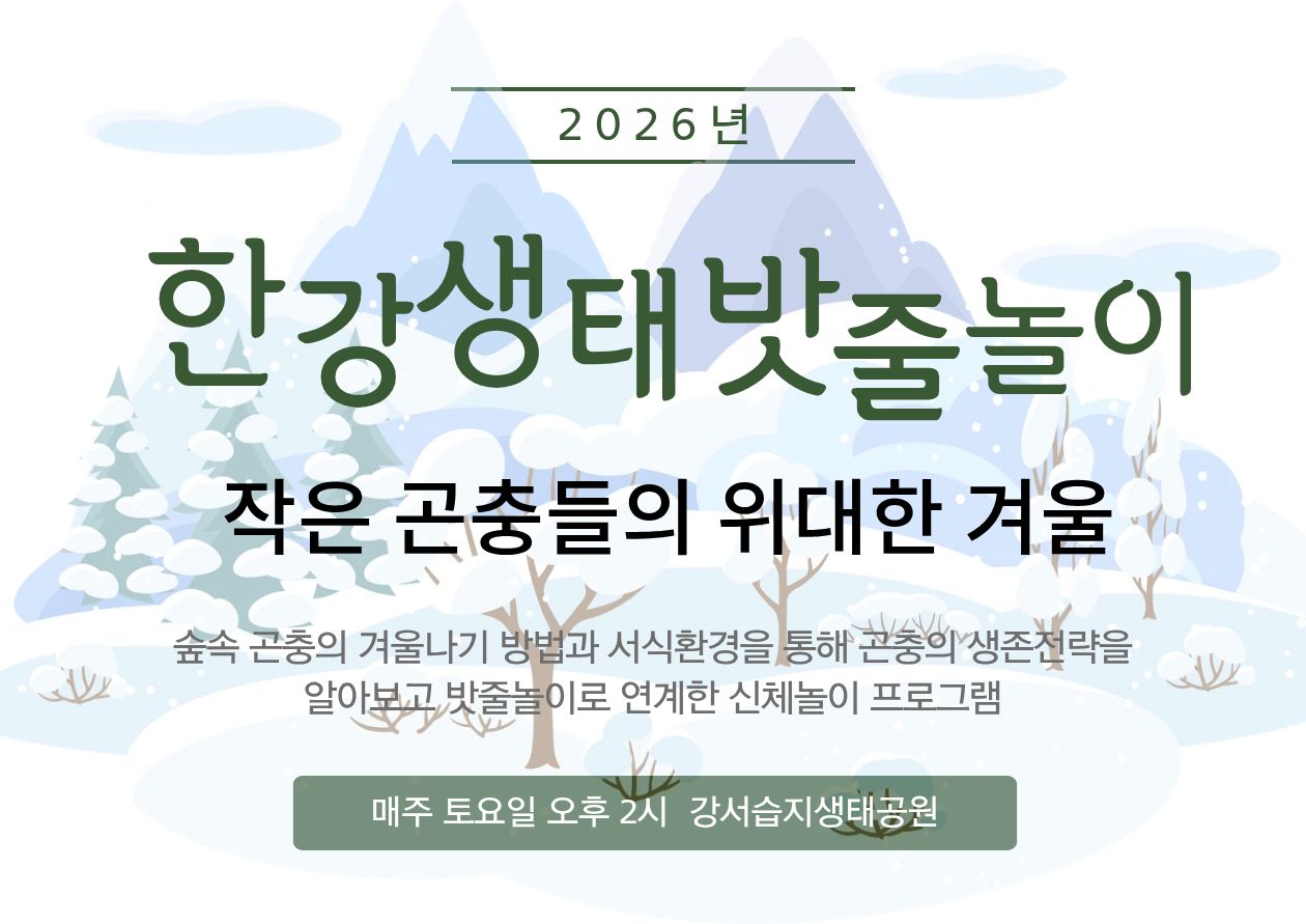 [강서습지] 한강 생태 밧줄놀이 -작은 곤충의 위대한 겨울-