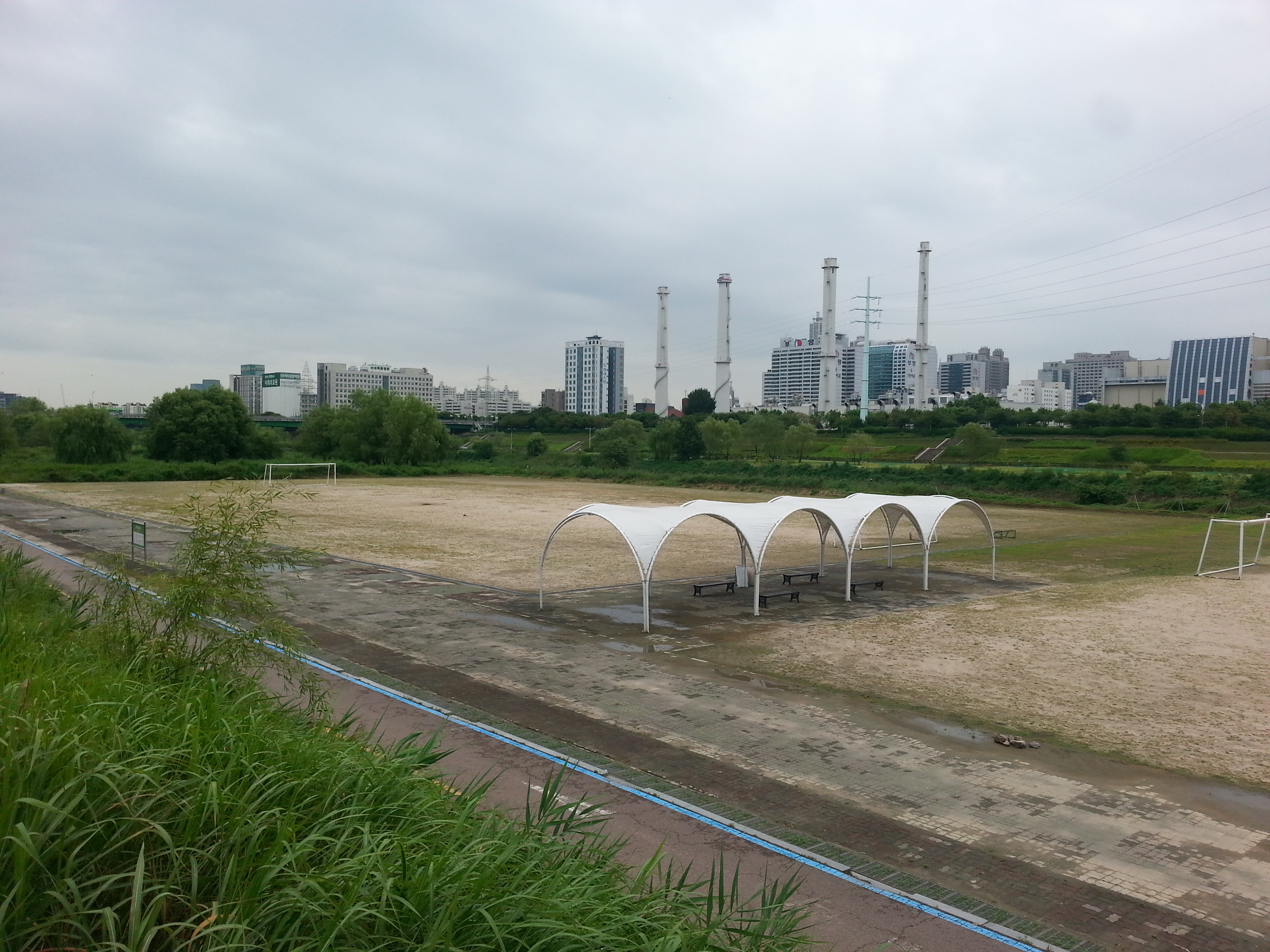 영롱이갈대구장(3)**S900000901