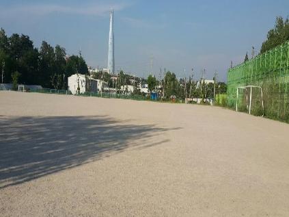 탄천센터 축구장 사진